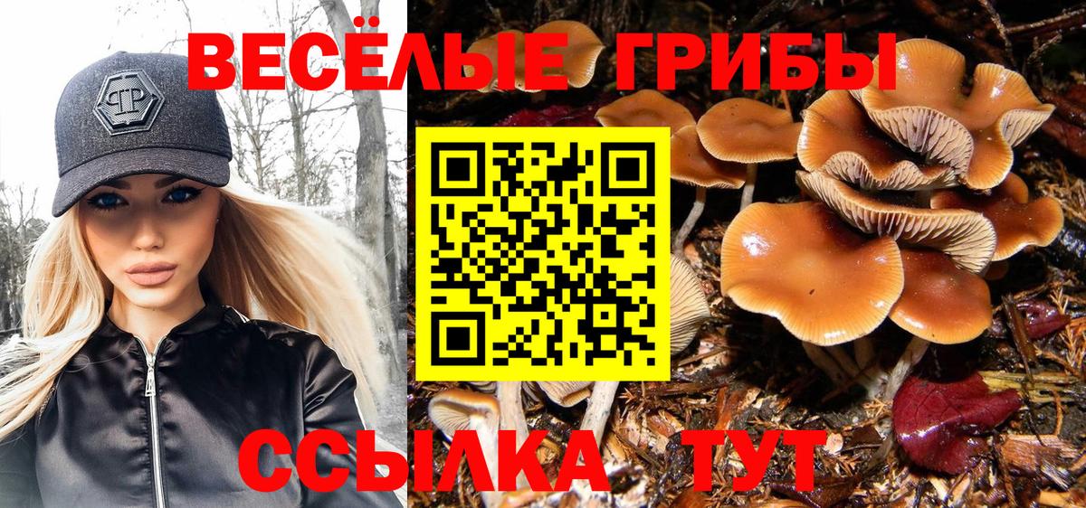 Галлюциногенные грибы Magic Shrooms Аша